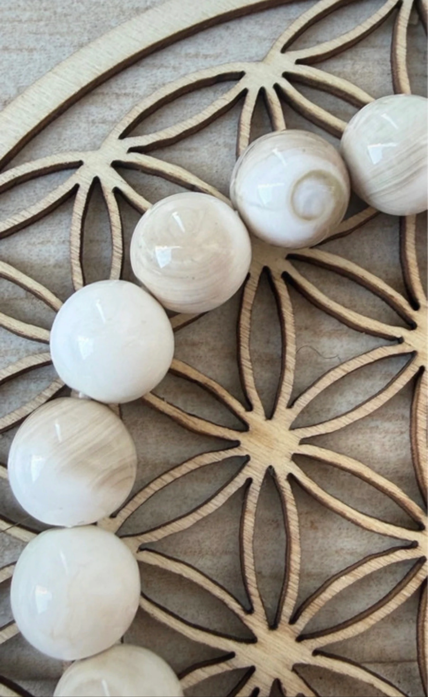 Natural Shiva Shell Bracelet 8 mm Shiva's Eye – photo 4